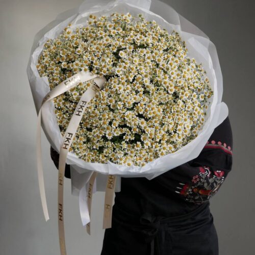 Танацетум 57 гілок
