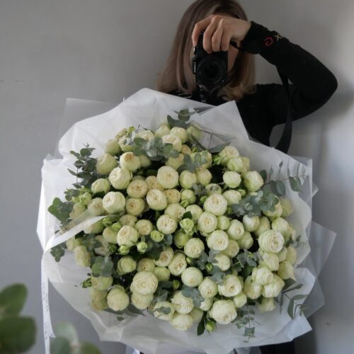 Сноу Волд - кущова троянда
